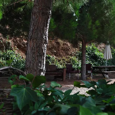 Masia El Riscle - Moli Del Pont Country house *